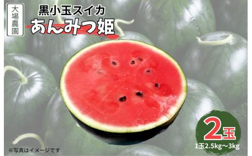 黒小玉スイカ（あんみつ姫）　2玉（2.5kg～3kg×2玉）