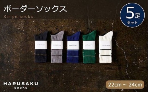 HARUSAKU ハルサク 靴下 ボーダー ソックス CC 5足セット 22cm～24cm 選べるサイズ 靴下 ボーダーソックス メンズ アソート 通気性 ボーダー柄 しましま スニーカーに合う ローファー スリッポン シンプル カジュアルコーデ ビジネス 定番 HARUSAKU ハルサク 奈良県 奈良市 奈良 なら