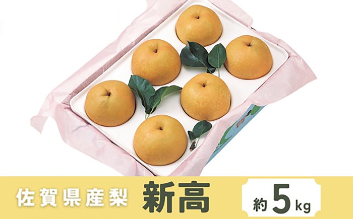 
                  【2026年発送分 先行予約】佐賀県産 梨（新高）5㎏ / 佐賀県 / さが風土館季楽 [41AABE116]
                