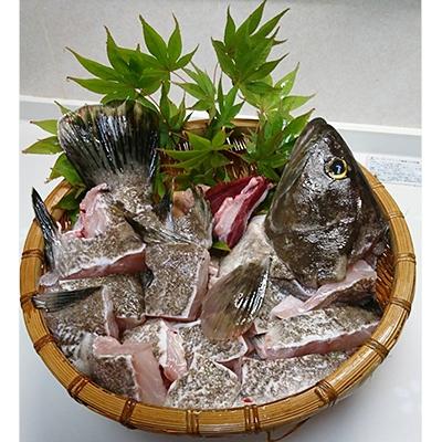 ふるさと納税 対馬市 【対馬産】最高級クエ:鍋セット(2〜3人前)
