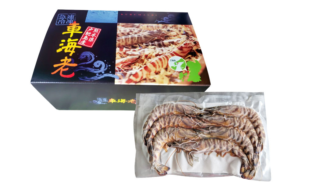 特殊冷凍 車海老 (大サイズ) 250g×8パック 計2kg 熊本県産