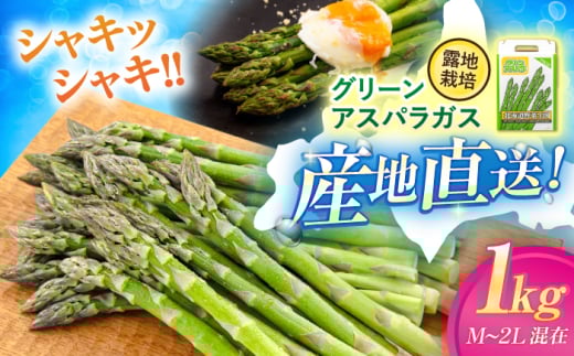 【2025年5月中旬以降順次発送】 グリーンアスパラガス 1kg（M・L・2L混在/露地栽培）《喜茂別町》【久保田農園】アスパラ アスパラガス グリーンアスパラ 冷蔵 冷蔵配送 野菜 春野菜 季節の野菜 [AJAM010]