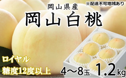 桃 2024年 先行予約 岡山 白桃 ロイヤル 4～8玉 約1.2kg JAおかやまのもも（早生種・中生種） もも モモ 岡山県産 国産 フルーツ 果物 ギフト[№5220-0914]