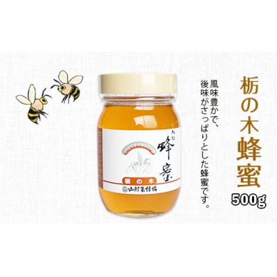 ふるさと納税 山形市 純粋蜂蜜 栃ノ木蜂蜜 500g FZ19-998