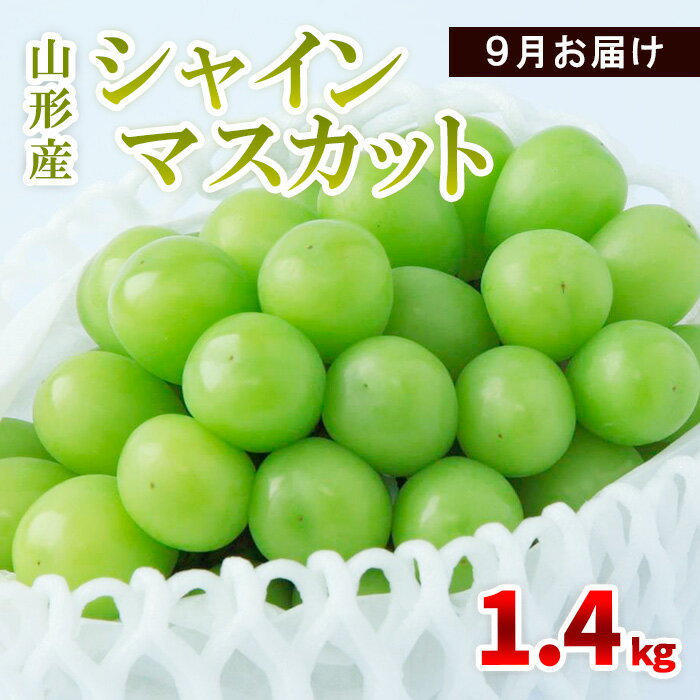 【ふるさと納税】山形産 シャインマスカット 1.4kg(2〜4房) 9月お届け 【令和7年産先行予約】FS23-855 山形 山形県 山形市 フルーツ 果物 くだもの 送料無料 ぶどう 葡萄 ブドウ