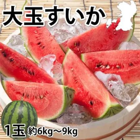 大玉すいか 秀品 1玉(約6kg～9kg)【2027年5月下旬より順次発送予定】【1586101】