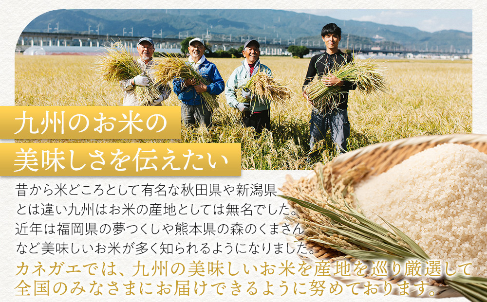 【定期便全3回】【令和7年産新米予約】【食味鑑定士厳選】福岡県産 夢つくし5kg (5kg×1袋) 合計 15kg
