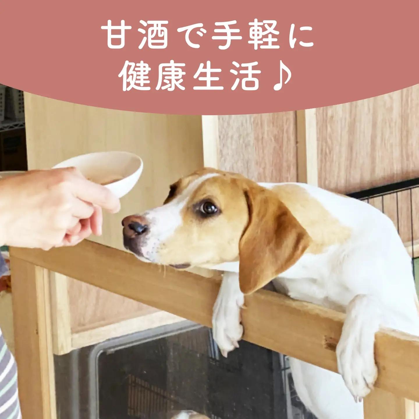 ワンワン 甘酒 犬 用  （濃縮タイプ） 便利な スタンドパック入り 170g×3【有限会社 木屋食品工業】[ZAD013]