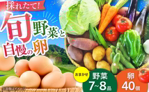 新鮮 卵 と 旬の 野菜 セット (野菜7-8品程度＋40個)  ／  たまご 生卵 タマゴ 詰合せ 詰め合わせ セット 熊本県 菊陽町 特産品  にんじん ごぼう キャベツ きゅうり トマト さつまいも まとめて 新鮮 ごはん 季節 旬 九州  野菜 不足 解消 初心者 にも おすすめ おまかせ【有限会社さんふれあ】 [BHAK002]