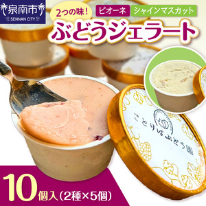 ぶどうジェラート 10個入【065D-020】