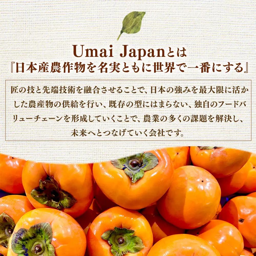 【先行予約】Umai 柿 富有 プレミアム 6玉 2.0kg ※2026年11月中旬～12月中旬頃に順次発送予定