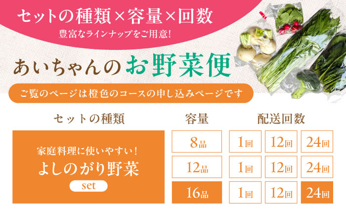 【16品 / 24回定期便】農薬に頼らない！カラダにやさしい「よしのがり野菜」セット（ラージ）【吉野ヶ里あいちゃん農園】 [FAA011]
