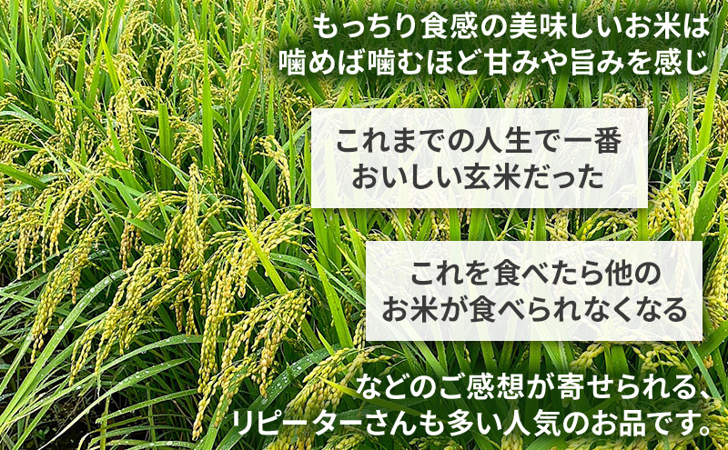 米 コウノトリ舞う田んぼで大自然が育てた"有無ファーム"