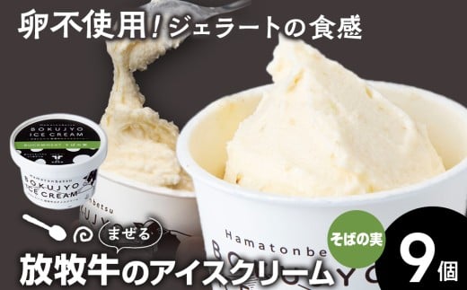 放牧牛 アイスクリーム 9個（そばの実） 【池田牧場】