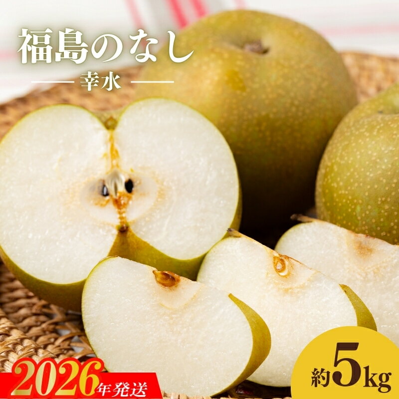 【ふるさと納税】No.1714梨　なし　幸水　約5kg　【2026年発送】