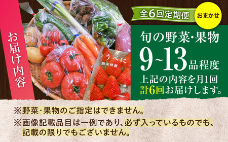 【全6回定期便】【数量限定】菊陽町特産品 「野菜・果物などの詰め合わせ」 / 新鮮 詰合せ フルーツ セット 旬 おまかせ にんじん 直売所 やさい くだもの 熊本県 特産品 菊陽町【有限会社さんふれ