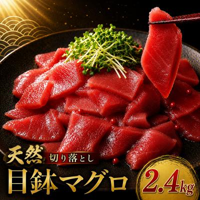 ふるさと納税 室戸市 天然 メバチマグロ 切り落とし 2.4kg 100g×2.4パック