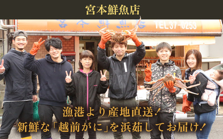 【先行予約】【期間限定】≪浜茹で≫越前産水がに 大サイズ 6肩（足のみ 2肩あたり400～500g） 合計1.2kg以上 産地直送！【雄 ズワイガニ 越前ガニ 足のみ ボイル 冷蔵 かに カニ 蟹 福