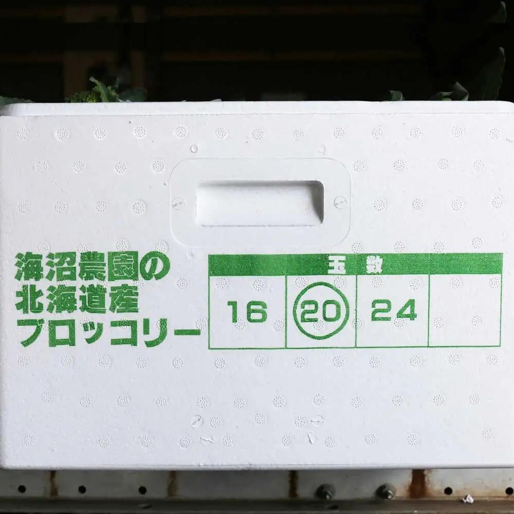 【2026年7月以降順次発送】ブロッコリー 20玉 北海道 先行予約 [AXBD001]