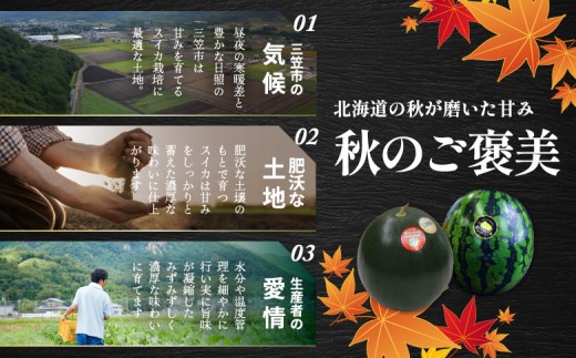 《2026年分受付中》秋に収穫される赤色スイカor黄色スイカ2～4玉(約9kg)