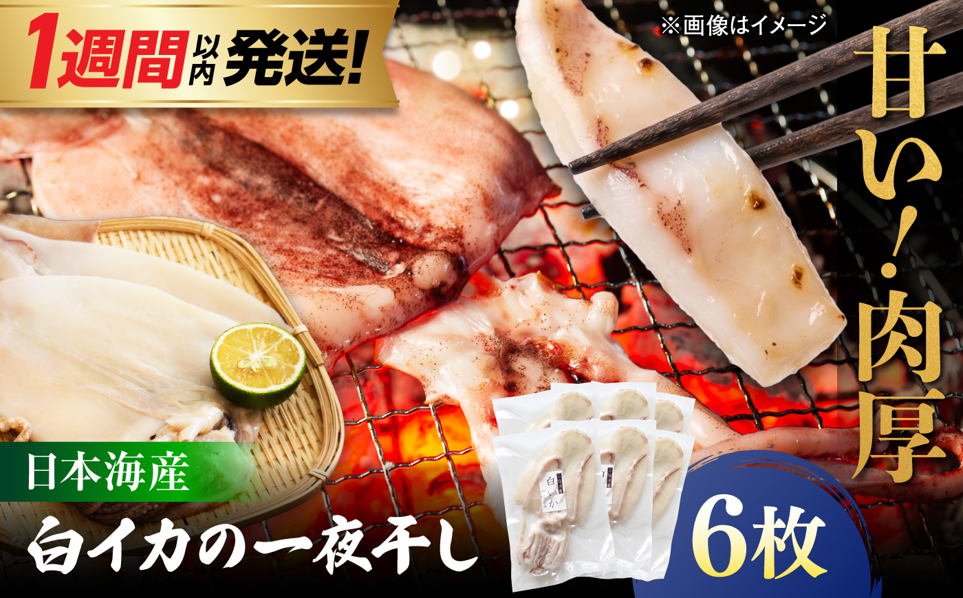 【1週間以内発送】白イカ 一夜干し 6枚セット 島根県松江市/有限会社ヤマヲ水産 ｜冷凍 おつまみ 国産 海鮮 イカ いか 干物 [ALDB027]