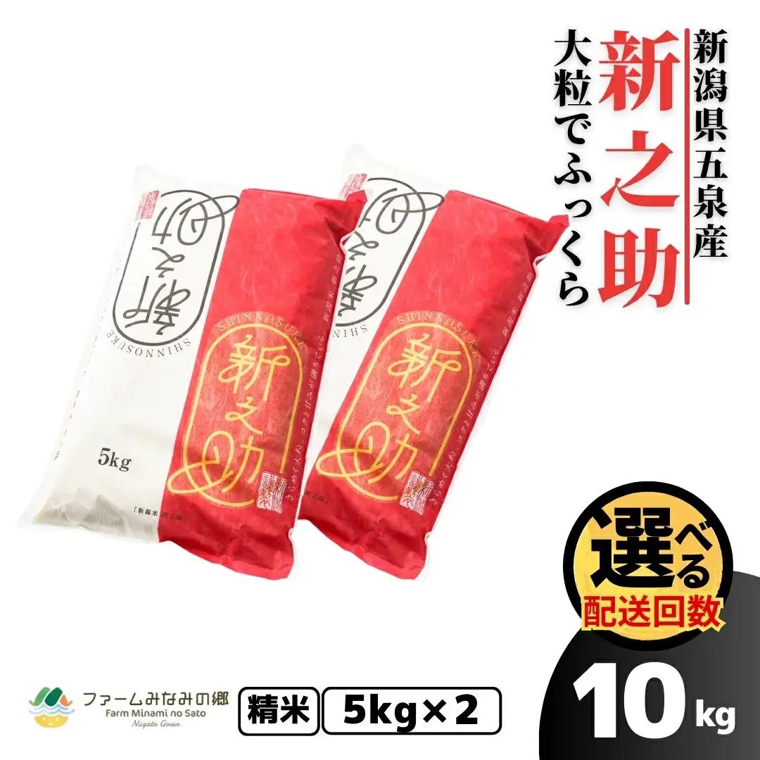 【定期便6回】令和8年産 新米 新之助 10kg(5kg×2袋)×6回 計60kg 先行予約 | 新潟県産 白米 米 五泉市