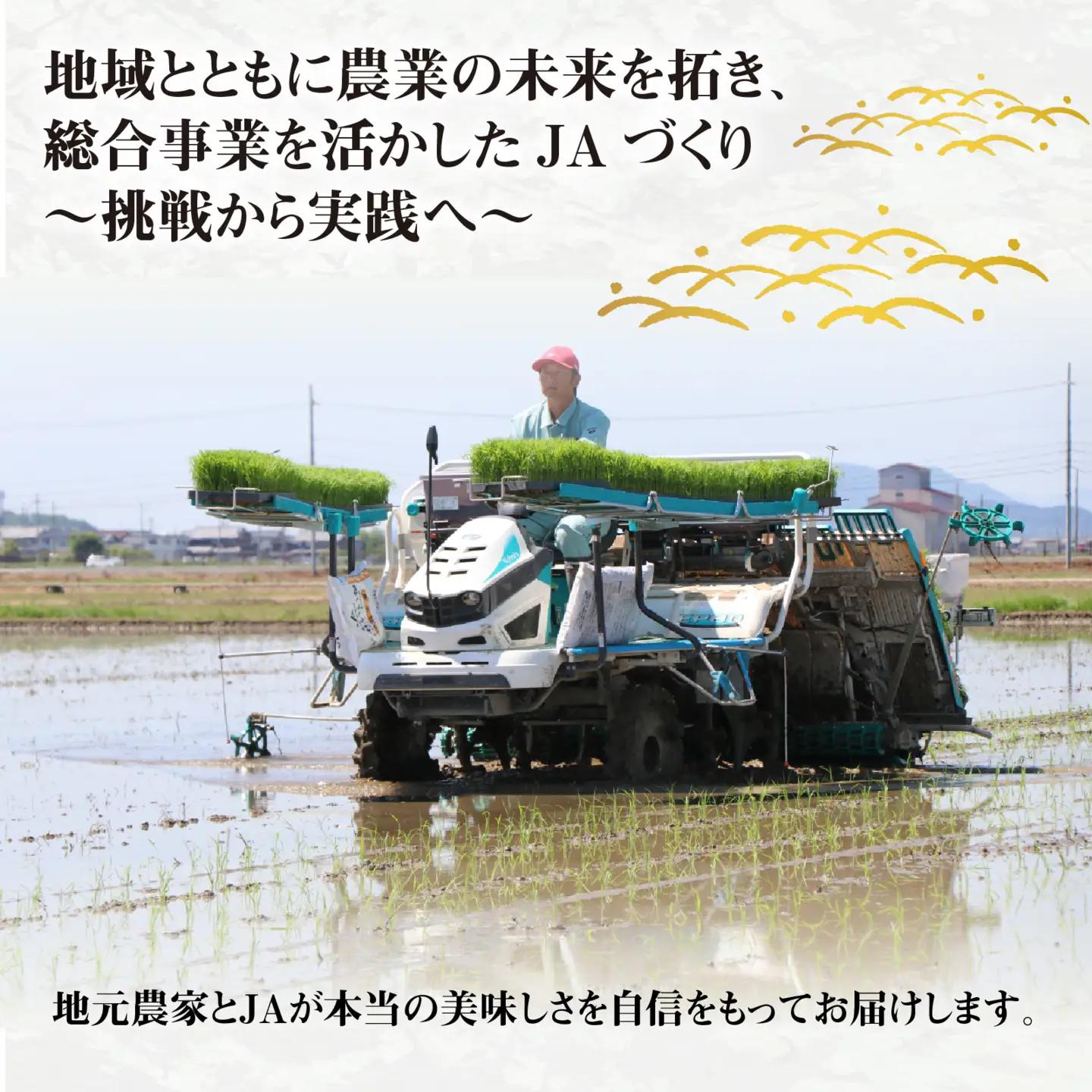 【先行予約】【令和8年産新米早期予約 毎月定期配送・計3回】 BG無洗米みずかがみ10kg×3回 [K-00409] / 無洗米