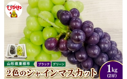【2026年産 先行受付】東根市産2色のシャインマスカット ブラック＆グリーン 秀品  計2房 ベジフルひがしね 山形県 東根市 hi104-009