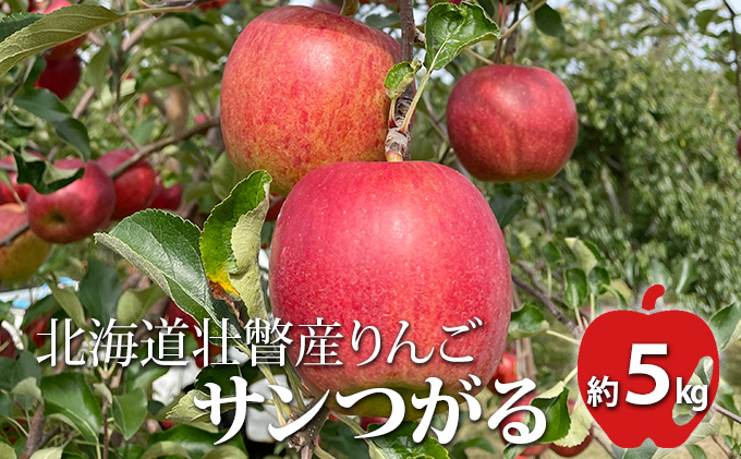 
[№5724-0523]＜2024年9月下旬～10月中旬頃までのお届け＞北海道壮瞥町　りんご　品種名「サンつがる」16～20玉約5kg フルーツ 果物 りんご 果樹
