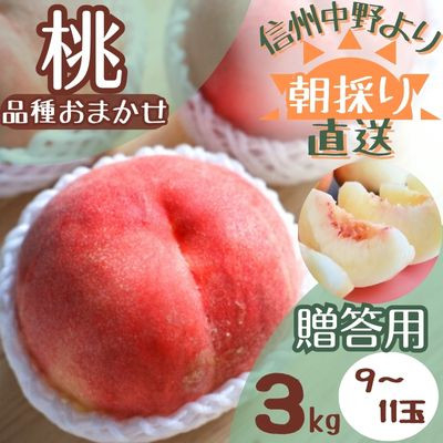 
＜旬にあわせたおいしい桃をお届け!＞贈答用　桃 3kg(品種おまかせ 9～11玉)【1508589】
