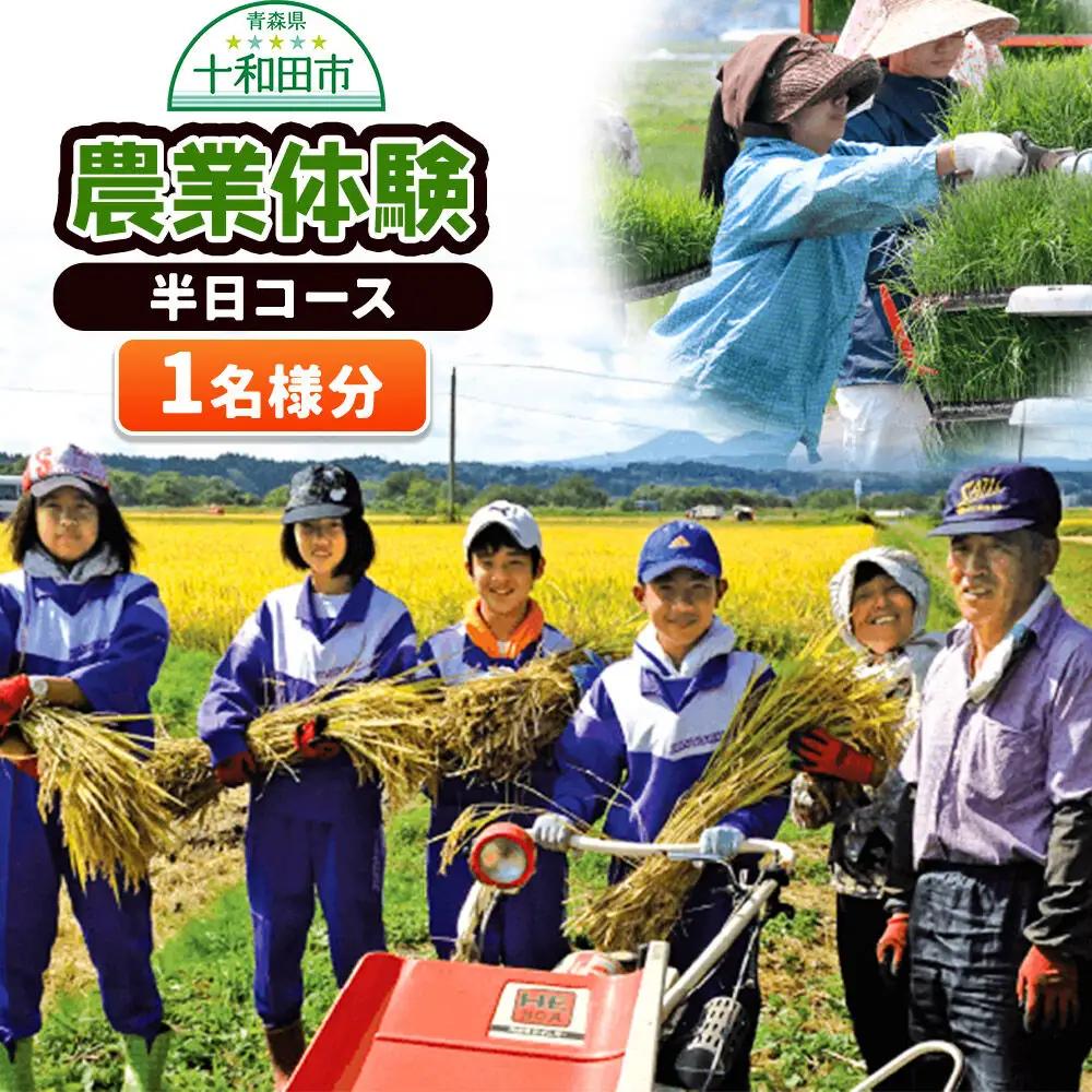 農業体験 青森県十和田市 半日コース（1名様分）＜レターパックプラス＞