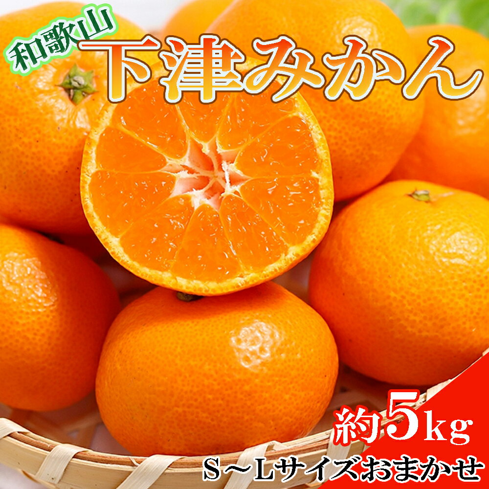 【ふるさと納税】【産直・秀品】【選べるサイズ】和歌山下津みかん5kg【2SサイズまたはS～Lサイズおまかせ】＜22026年11月中旬～2027年1月中旬頃に順次発送) / フルーツ くだもの 果物 柑橘 オレンジ みかん ミカン 和歌山