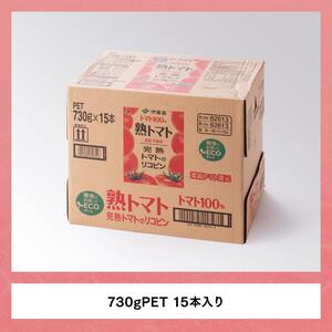 【9ヶ月定期便】 伊藤園 熟トマト ペットボトル 730g×15本 【野菜ジュース 野菜飲料 健康飲料 健康 ヘルシー とまと PET 定期便 全9回】