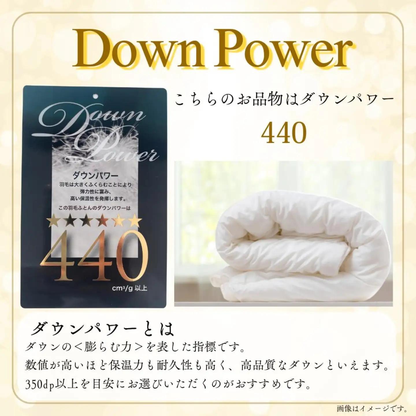 【羽毛掛け布団】 セミダブル ポーランド産マザーグース９３％ CK069