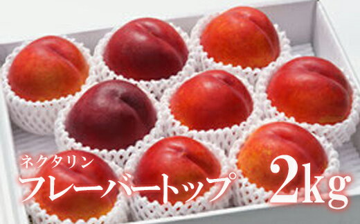 【ふるさと納税】No.2315ネクタリン「フレーバートップ」 約2kg【2025年発送　先行予約】