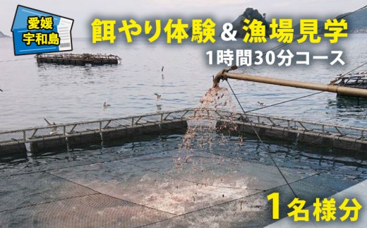 体験 餌やり 漁場 見学 チケット 1時間30分 コース  魚類養殖現場 AI 餌やり 体験 ＆ 漁場 見学 こもこもShop 給餌 自由研究 思い出 アクティビティ アウトドア 観光 旅行 魚 海鮮 魚介 愛媛 宇和島 L020-186009