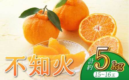 先行予約 不知火 約5kg うちやま果樹園 2027年3月上旬-6月下旬発送予定