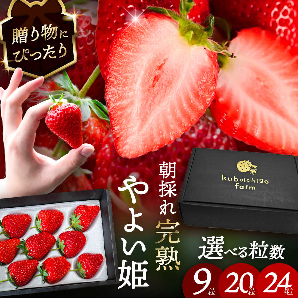 【ふるさと納税】【選べる個数】【先行予約】 ＼毎年12月より順次発送／ やよい姫 9粒 / 20粒 / 24粒 いちご フルーツ 果物 愛西市 / くぼ苺農園 【配達不可：北海道・沖縄・離島】[AECJ012]