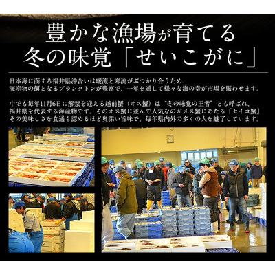 ふるさと納税 敦賀市 1度で4度楽しめる セイコ蟹 甲羅盛り 約70g × 3個セット【しおそう かに 蟹】 |  | 01