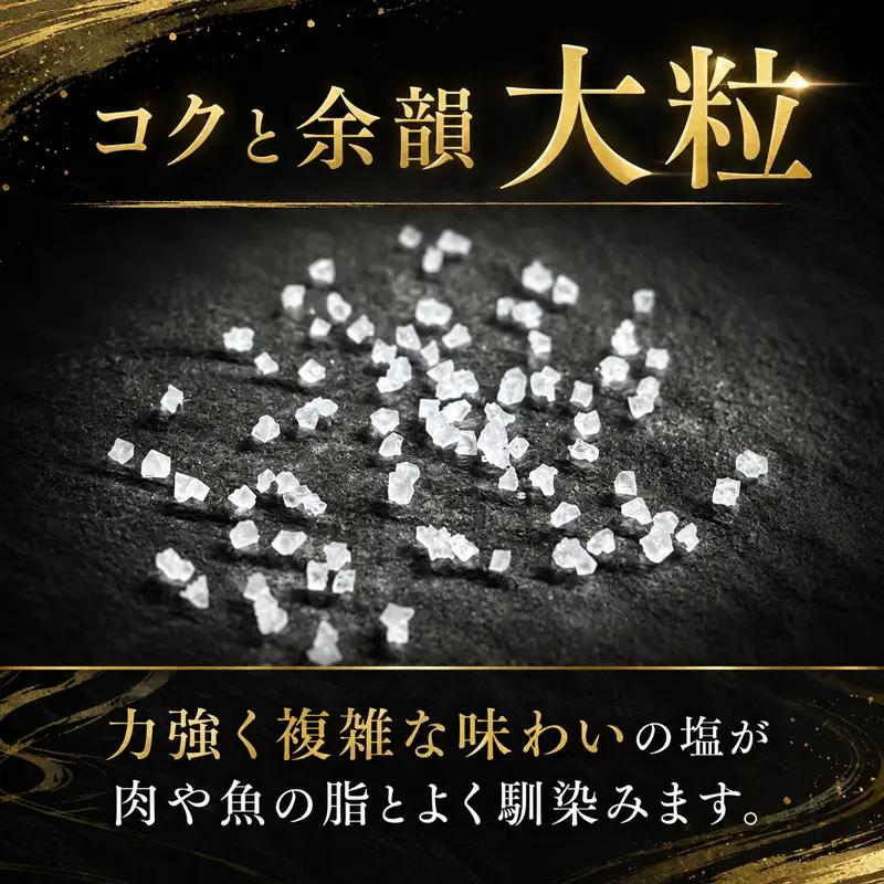 完全天日塩 田野屋 紫蘭 天然塩 100g×3袋 TN-02
