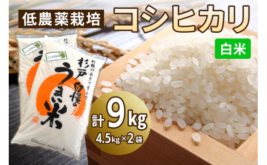 低農薬栽培 コシヒカリ 白米＜9kg（4.5kg×2袋）＞ | おいしい お米 コメ ご飯 お取り寄せ 贈り物 上原農場 埼玉県 杉戸町