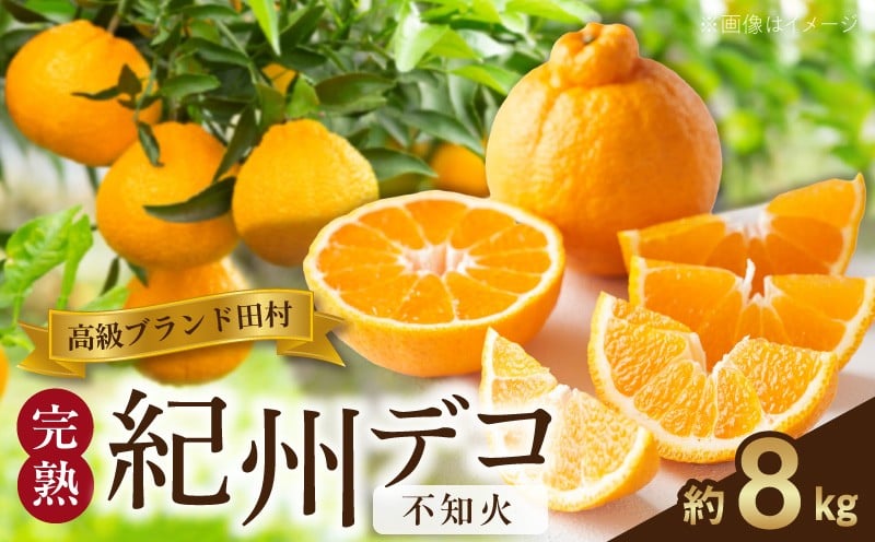 
                  G7372_ 完熟 紀州デコ 不知火 約 8kg 高級ブランド 一級品 田村 みかん まろやかな甘さ 程良い酸味 絶妙のバランス ジューシー 甘い コク プリプリ フルーツ 柑橘 果物 果実 国産 食品 和歌山県 湯浅町 送料無料
                