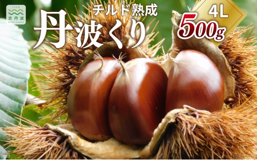 チルド熟成 丹波くり 4L 500g（ 京都 京丹波町産 丹波栗 熟成 生栗）※北海道・沖縄は配送不可 [011TNX001L]
