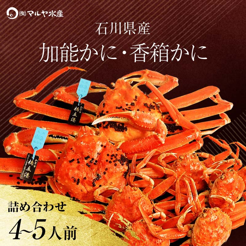 【ふるさと納税】産地直送 加能かに 2匹＋香箱かに 5匹 詰合せ 3～5人前 食べ比べ セット ズワイガニ ずわいがに 産地証明 先行予約 予約 ブランド蟹 ボイル 茹で 蟹 かに 復興 震災 コロナ 能登半島地震復興支援 北陸新幹線 F6P-0696