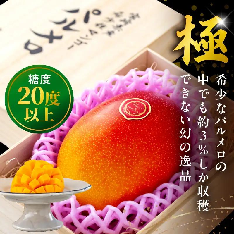 マンゴー パルメロ マンゴー[宮崎 1玉 希少種 650g以上 糖度20度以上]