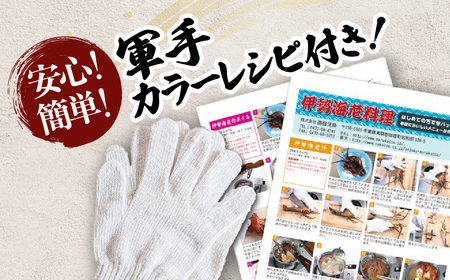 活〆生食用伊勢海老（冷凍）1925g（250～300g)×7尾 ONJB036