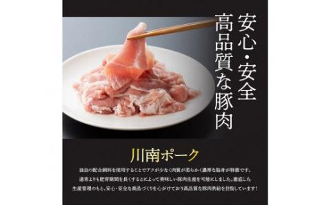 川南ポーク 豚小間切れ 2.1㎏(300g×7袋)　豚肉[G5017]