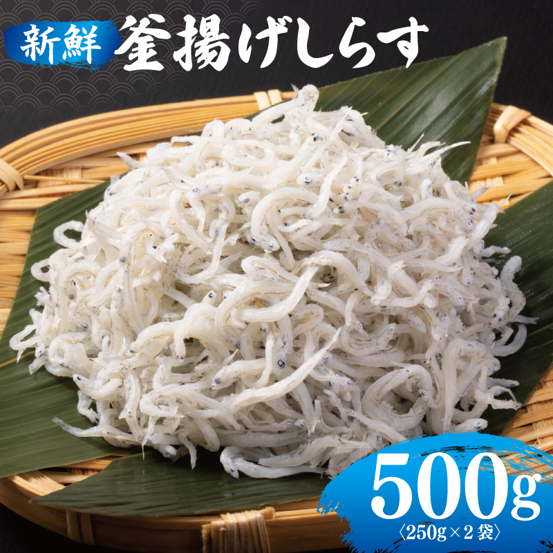 新鮮 釜揚げしらす 合計 500g 小分け 250g×2P 010B1505
