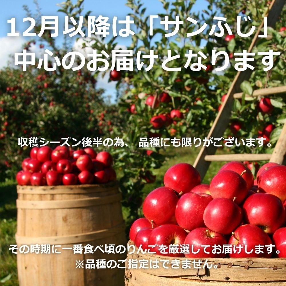 信州長野県産　完熟 サンふじりんご をお届します