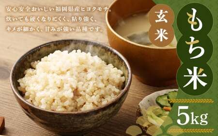 福岡県産 栽培期間中 農薬・肥料不使用 もち米【玄米】5kg 1袋 ／ 餅米 もち 米 お米 おこわ 赤飯 福岡県 筑後市